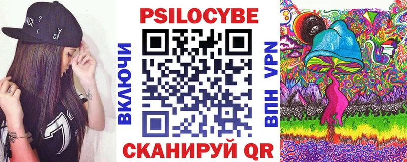 хочу наркоту Выкса Галлюциногенные грибы Cubensis